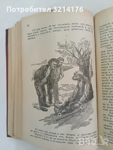 Съчинения. Том 2, 3, 5. Разкази и новели - (Ги Дьо) Гюи Де Мопасанъ (1928-1941, Луксозна изработка), снимка 12 - Художествена литература - 55875861