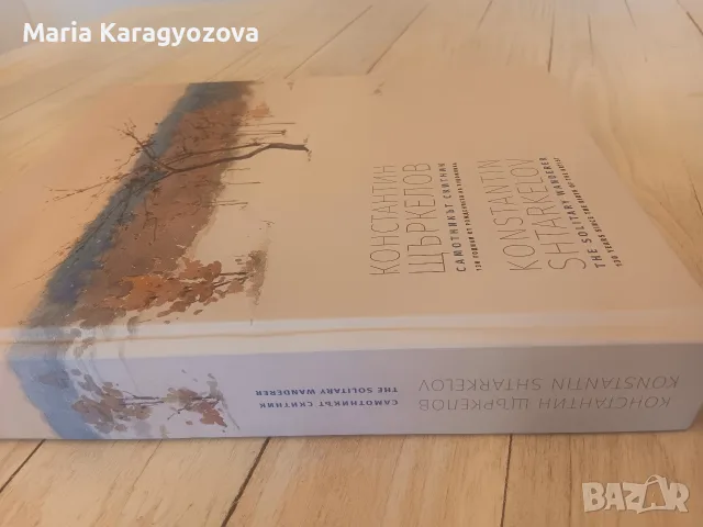 Константин Щъркелов, Самотникът скитник, каталог СГХГ, снимка 17 - Картини - 55981212
