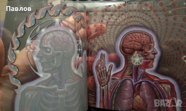 Лот оригинални компактдискове на Tool, снимка 6 - CD дискове - 52990428