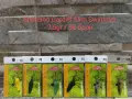 Клатушка Hearty Rise, Shimano Cardiff, Spro, Rapture спининг кефал пъстърва trout Master Area, снимка 7