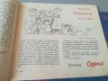 Грамофонна плоча. ВЕК 3647. Смяна 81. Хор Бодра смяна. Честита Нова година ВЕК 3685. Детска асамблея, снимка 12