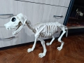 скелет на голямо куче за Хелоуин , снимка 6