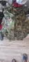 Летен военен панталон , снимка 1