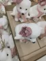 коледни фигурки декорация , снимка 12