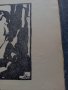 Литография - Дечко Узунов 1931г., снимка 5