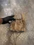 Chanel Дамска Чанта Шанел - Различни Цветове Код SEM-341, снимка 14