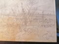 Продавам оригинална рисунка, скица на Васил Стоилов, снимка 10
