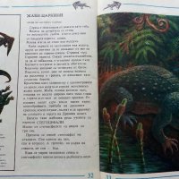 Палеонтология в картинки - И.Яковлева - 1984г. , снимка 5 - Детски книжки - 38938213