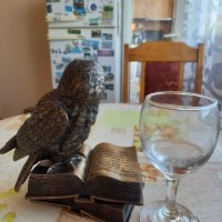Статуетка сова с книга, снимка 4 - Други ценни предмети - 42858742