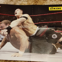 Уникални плакати на Първична сила WWE - Разбиване - Кеч, снимка 15 - Нумизматика и бонистика - 44700639