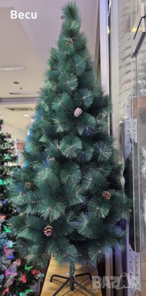 Елха с шишарки, снимка 1