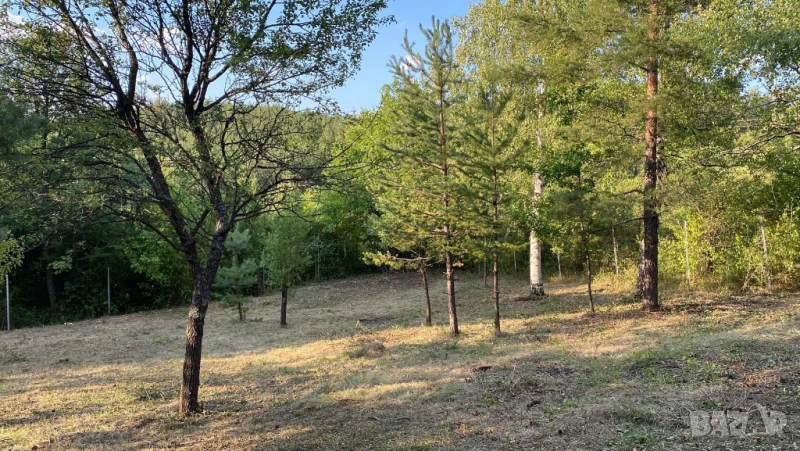 Продавам дворно място в гр. Банкя, местност Мъртвака, 1065 м2, снимка 1