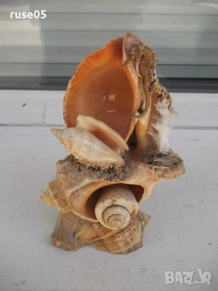 Фигура от морски дарове, снимка 1