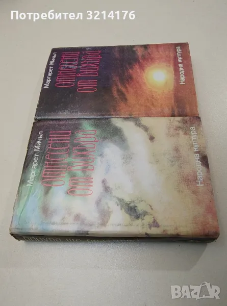 Отнесени от вихъра. Книга 1-2 - Маргарет Мичъл (1986), снимка 1