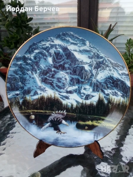 Чиния, снимка 1