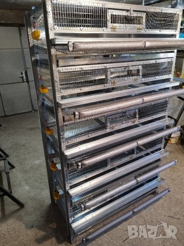 Клетки за пъдпъдъци , снимка 14 - За птици - 25557401