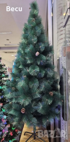 Елха с шишарки, снимка 1