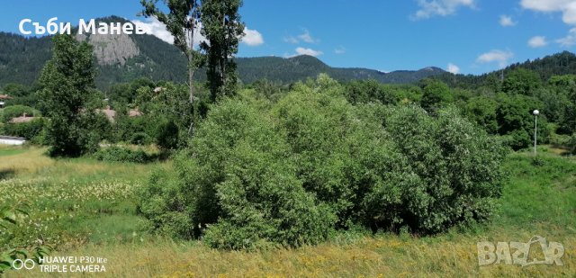 Продавам парцел Смолянските езера, снимка 6 - Парцели - 29432006