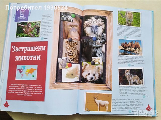 Колекционерски албум на Билла, снимка 11 - Колекции - 31797251