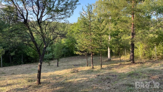 Продавам дворно място в гр. Банкя, местност Мъртвака, 1065 м2