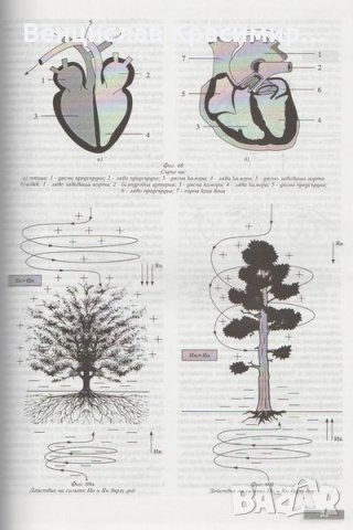 Мария Мандаджиева - АЛТЕРНАТИВНА МЕДИЦИНА ЗА ВСЕКИ, снимка 3 - Специализирана литература - 40252611