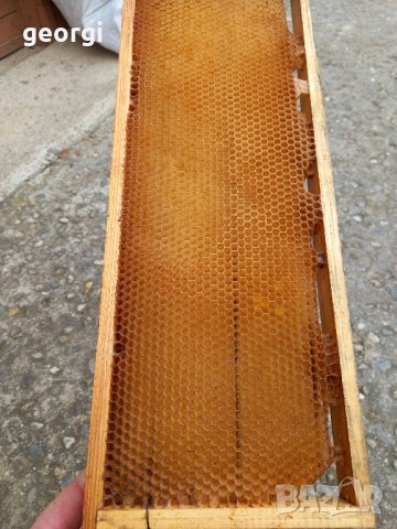 изградени пчелни пити магазинни и фарар, снимка 6 - За пчели - 44472230