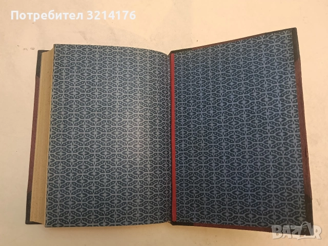 Какво да се прави? / Что делать? - Николай Чернишевски (1927, Луксозна изработка, Отлично състояние), снимка 5 - Специализирана литература - 54255811