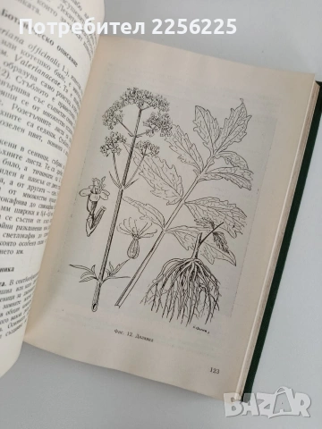 Етерично маслени и медицински култури, снимка 5 - Специализирана литература - 53112912