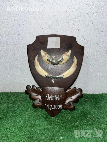 Глиги - зъби от диво прасе , снимка 12 - Други - 54240588