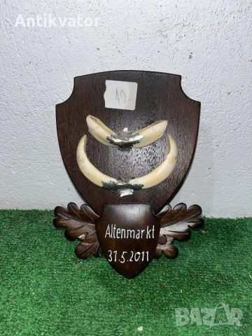 Глиги - зъби от диво прасе , снимка 11 - Други - 54240588