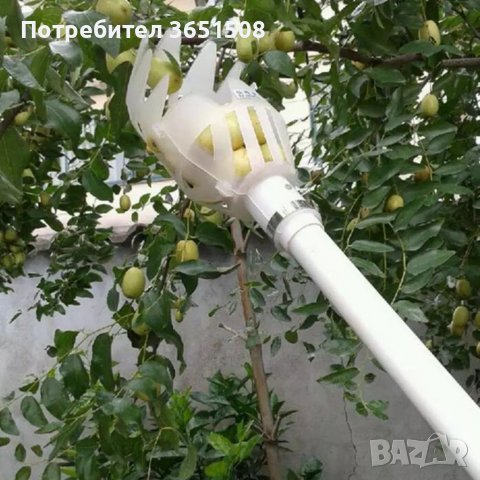 Берачка за плодни дръвчета, снимка 1 - Градински инструменти - 39821945