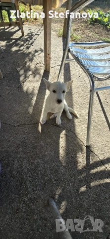 „Дом. Семейство