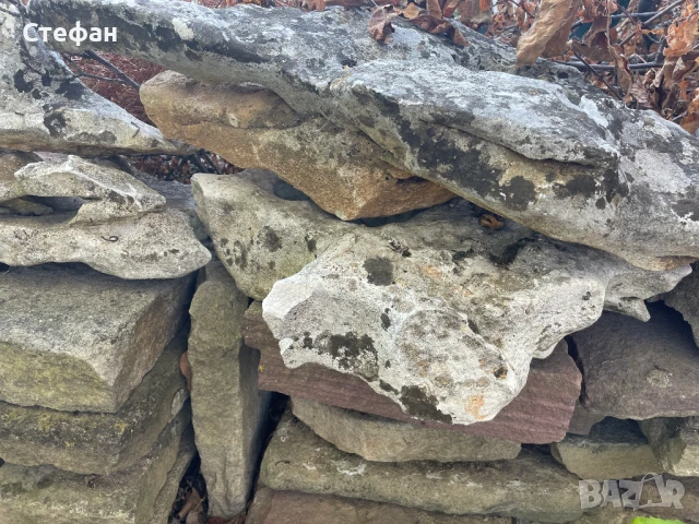 Камъни за алпинеум, снимка 6 - Градински мебели, декорация  - 51324424