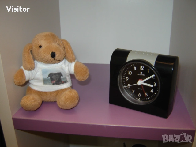 SONY DSC - S80, снимка 18 - Фотоапарати - 54135688