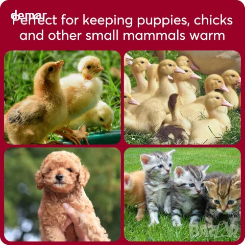 Инфрачервена нагревателна лампа Neviland с 250W нагревателна крушка, превключвател за мощност, снимка 2 - Други стоки за животни - 49885940