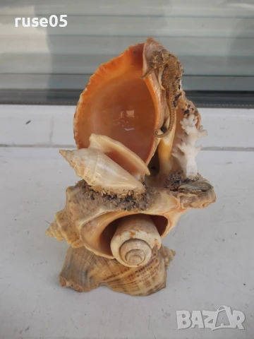 Фигура от морски дарове