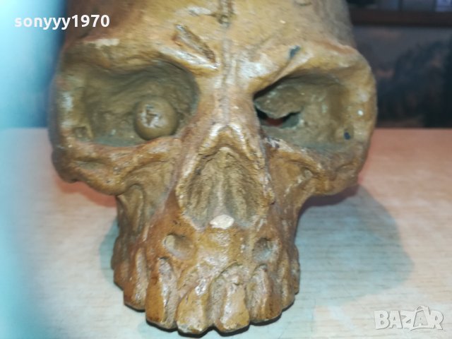 черепа-керамика 20х19х14см 0903211130, снимка 5 - Колекции - 32092172