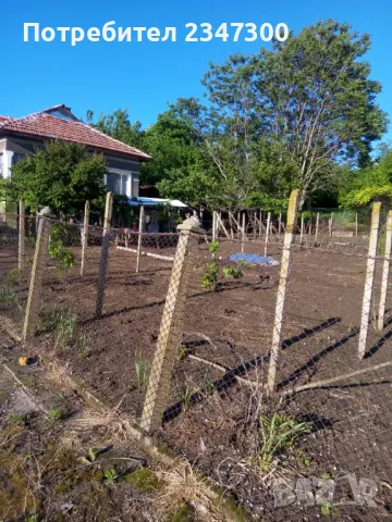 Селска къща в с.златия, снимка 17 - Къщи - 44665887