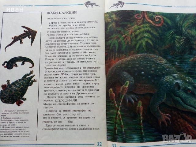 Палеонтология в картинки - И.Яковлева - 1984г. , снимка 5 - Детски книжки - 38938213