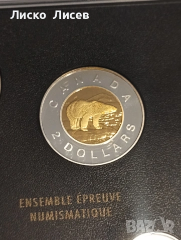 Канада сет мат-гланц 2000г., снимка 5 - Нумизматика и бонистика - 54289831