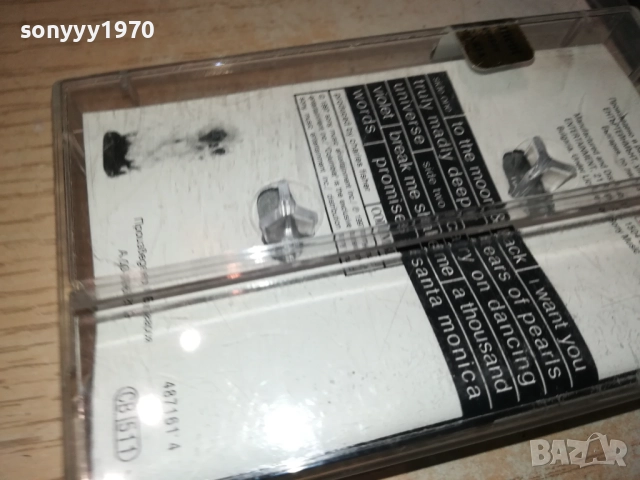 SAVAGE GARDEN-ORIGINAL TAPE 0211251817, снимка 8 - Аудио касети - 52265859