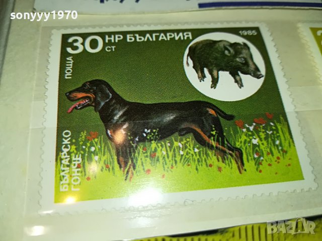 МАРКА 1 НРБ 1985 БГ ГОНЧЕ 1203231010, снимка 3 - Филателия - 39968459