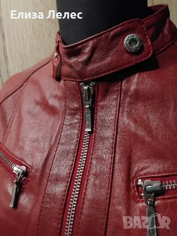 Molltan дамско яке от естествена кожа размер 34, снимка 2 - Якета - 49702631