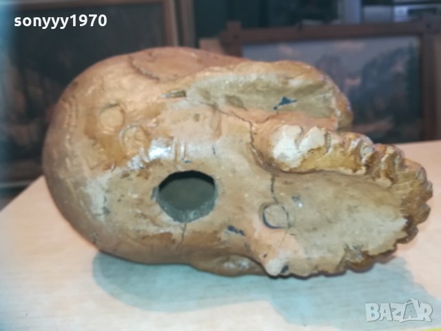 масивен череп 20см 1003210837, снимка 6 - Колекции - 32102510