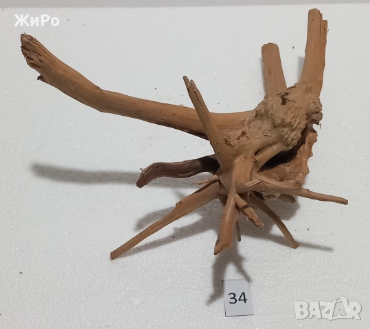 Корен от Азалия /декорация/ 34, снимка 4 - Други - 54093499