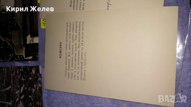 ЛОТ ЧЕТИРИ СТАРИ ПОЩЕНСКИ КАРТИЧКИ СССР ГДР ТЕМА ФАУНА и ПАМЕТНИЦИ 33068, снимка 8 - Филателия - 38662485