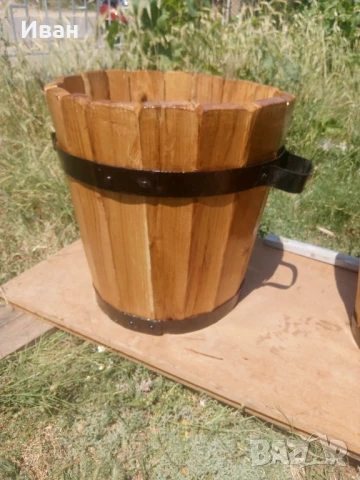 Саксии, снимка 1