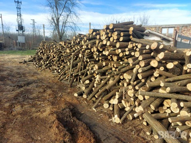 Дърва за огрев "Акация", снимка 9 - Дърва за огрев - 35403693