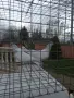 Продавам Гълъби, различни видове, снимка 5