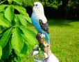 Папагал,немска статуетка 20 см. , снимка 10